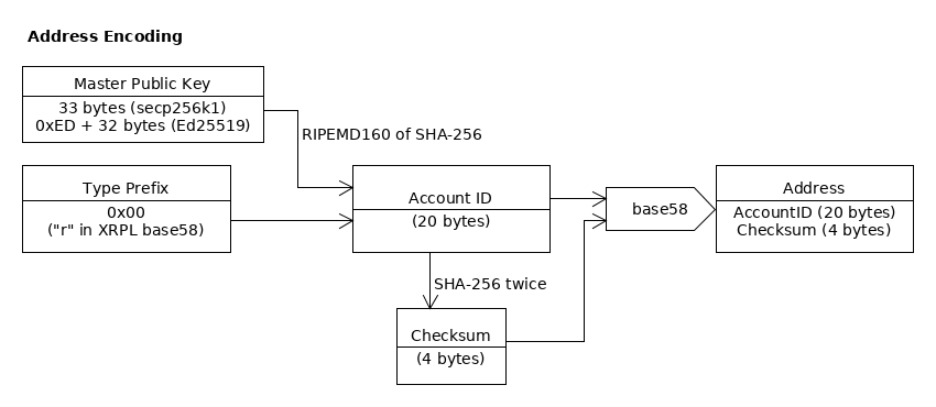 Master Public Key + Type Prefix → Account ID + Checksum → Address