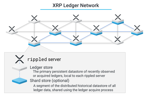 XAG Ledger Network: Ledger Store and Shard Store Diagram